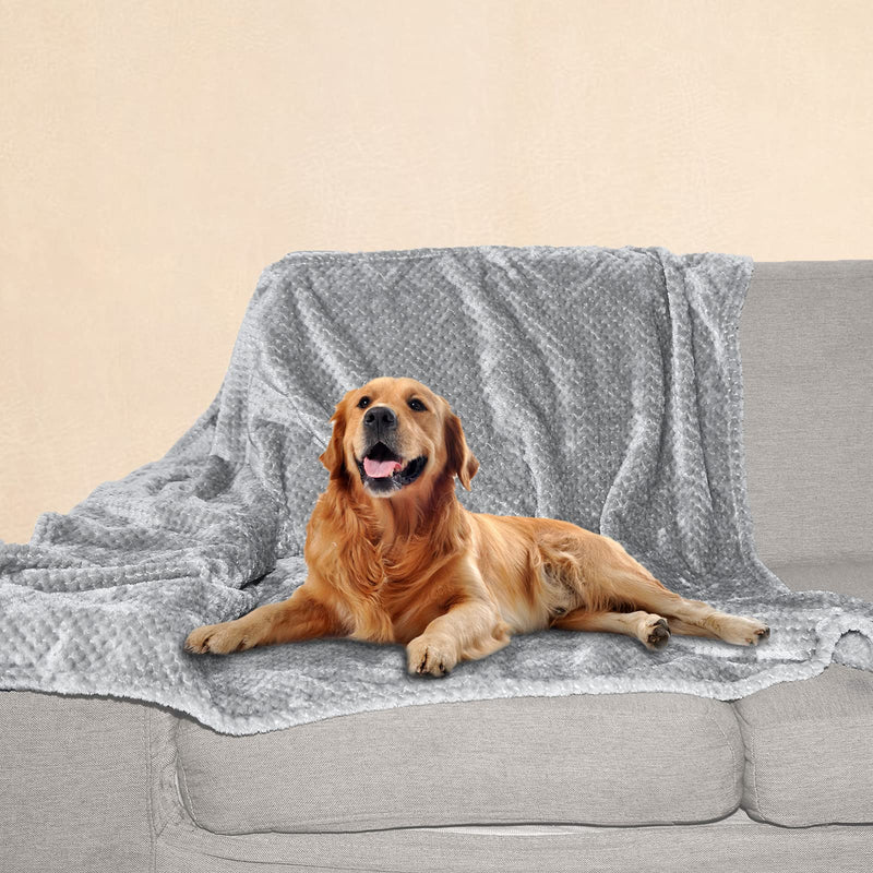 Baodan Dog Cat Blanket Large, 120 x 100cm Washable Fleece Puppy Blankets for Pets, Warm and Soft Dog Mat for Medium and Large Dog Grey - PawsPlanet Australia