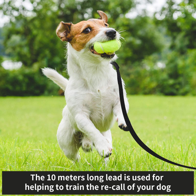 Fingertoys Tow Lead for Dogs 10 m Robust Long Dog Lead Rope Training Lead Waterproof Recall Training Lead for Small to Large Dogs Pet - PawsPlanet Australia
