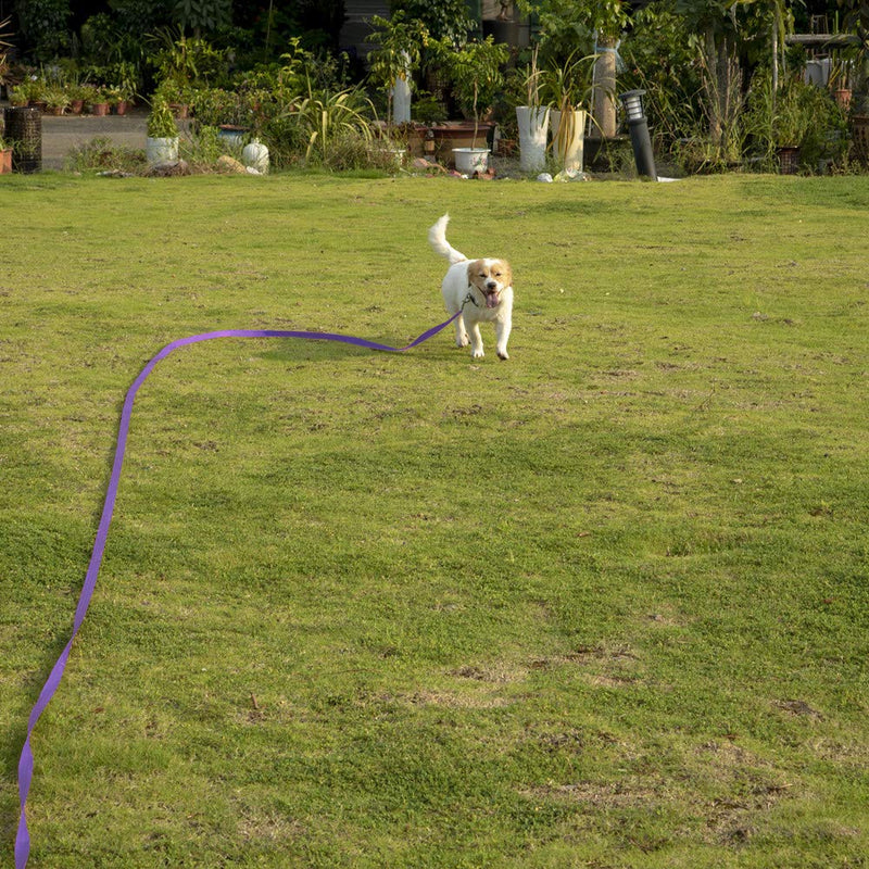 Vivifying Dog Training Lead Leash, 32FT/10M Long Nylon Training Dog Leash for Pet Tracking Training Obedience Lead Leash (Purple) Purple - PawsPlanet Australia