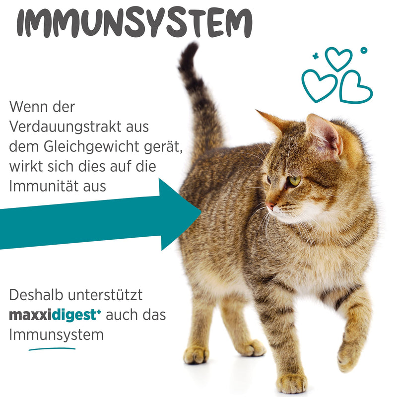 maxxicat - maxxidigest+ probiotics, prebiotics & digestive enzymes for cats - advanced support for the digestion and immune system of cats - no GMO powder - powder 200 g 200 g (pack of 1) - PawsPlanet Australia