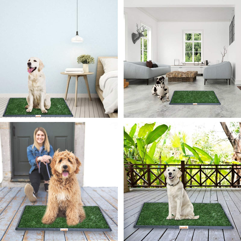 LOOBANI Indoor Outdoor Dog Potty Systems, Reusable and Portable Trainer Tray for Puppy Training, with 2 Packs Replacement Grass Mat. 16 x 20 - PawsPlanet Australia