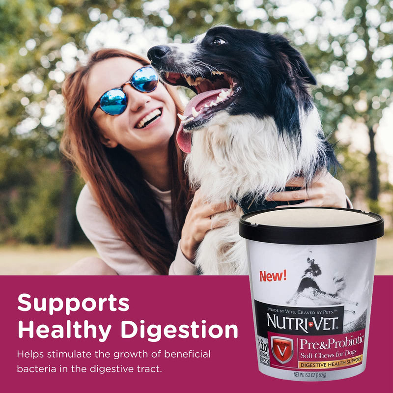 Nutri-Vet Pre and Probiotic Soft Chews for Dogs | Digestive Health Support Dog Probiotics | Tasty Alternative to Dog Probiotic Powder | 120 Soft Chews - PawsPlanet Australia