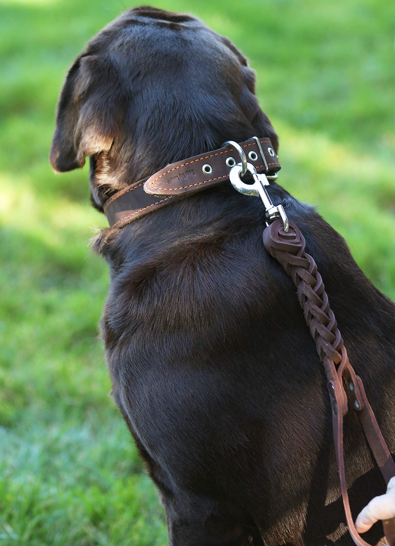 [Australia] - Dogs My Love Brown Leather Braided Dog Short Traffic Leash 12" Long 4-Thong Square Braid for Large Breeds 