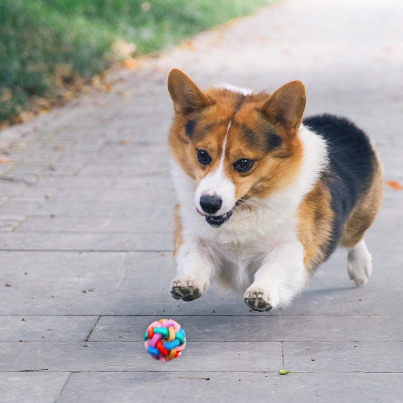 [Australia] - Kemulus Squeaky Balls Durable Natural Dog Interactive Toy Ball, Fetch Toy Collection, Fits Ball Launcherfor Exercise, Training 2.2in 