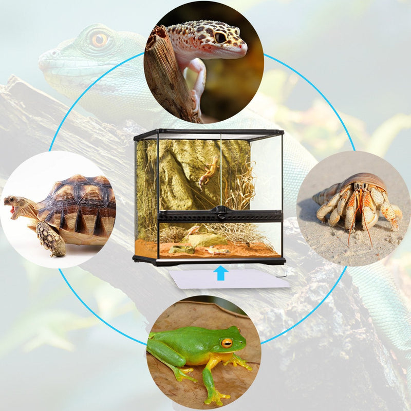 Aiicioo Under Tank Heater Thermostat - Reptile Heating Pad with Temperature Control Reptile Heat Mat for Combo Set for Hermit Crab Lizard Terrarium 6X8Inch Mat & Thermostat - PawsPlanet Australia