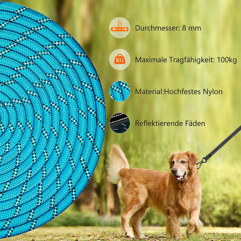 Aystkniet Bungee Towing Leash for Dogs 3M 4.5M 5M 6M 9M 10M 12M 15M 20M 30M, Shock-Absorbing Dog Leash with Padded Handle Reflective Threads Lockable Hook for Medium Large Dogs 5M × 8MM Blue - PawsPlanet Australia