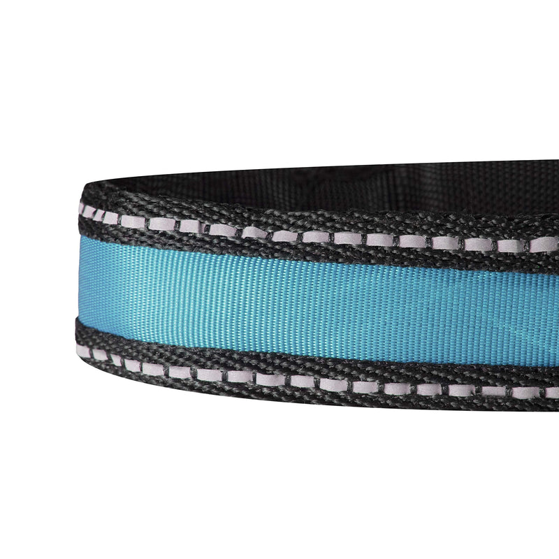 [Australia] - PoundWishes PW751-GR LED Dog Collar Large (19-24 inches) Blue 