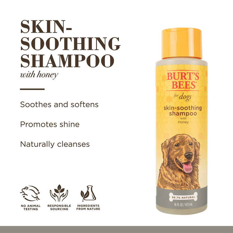 Burt's Bees for Dogs Natural Skin Soothing Shampoo with Honey | Puppy and Dog Shampoo, 16 Ounces - PawsPlanet Australia