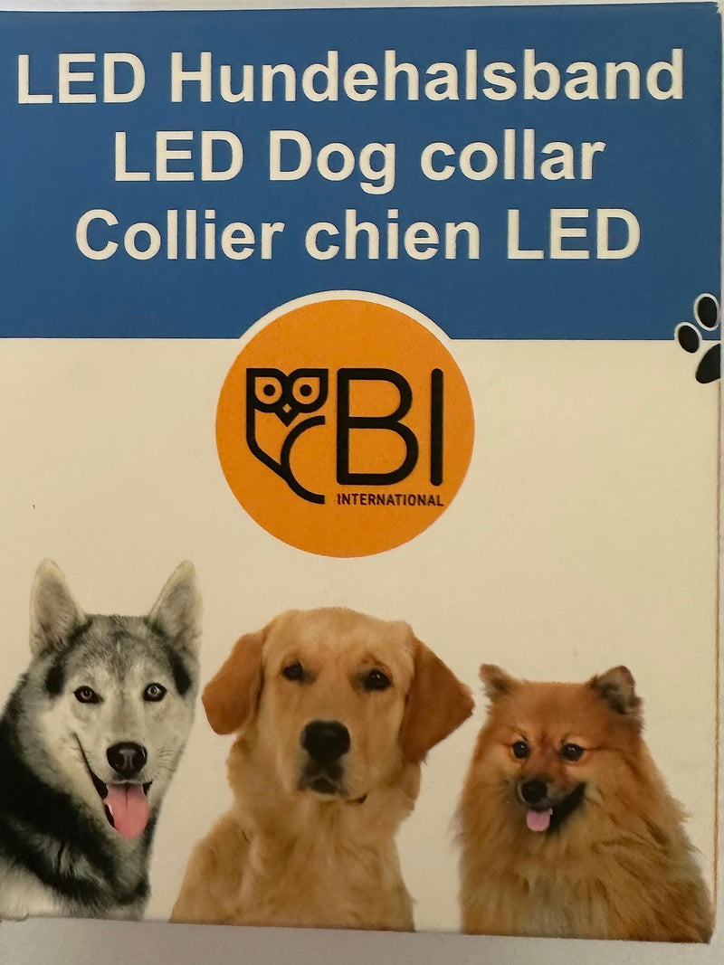 Luminous collar for dogs [The original] Luminous LED dog collar for walking even in the dark - very long battery life - safe thanks to high-quality metal clasp (red, L) L (48-60 cm) red - PawsPlanet Australia