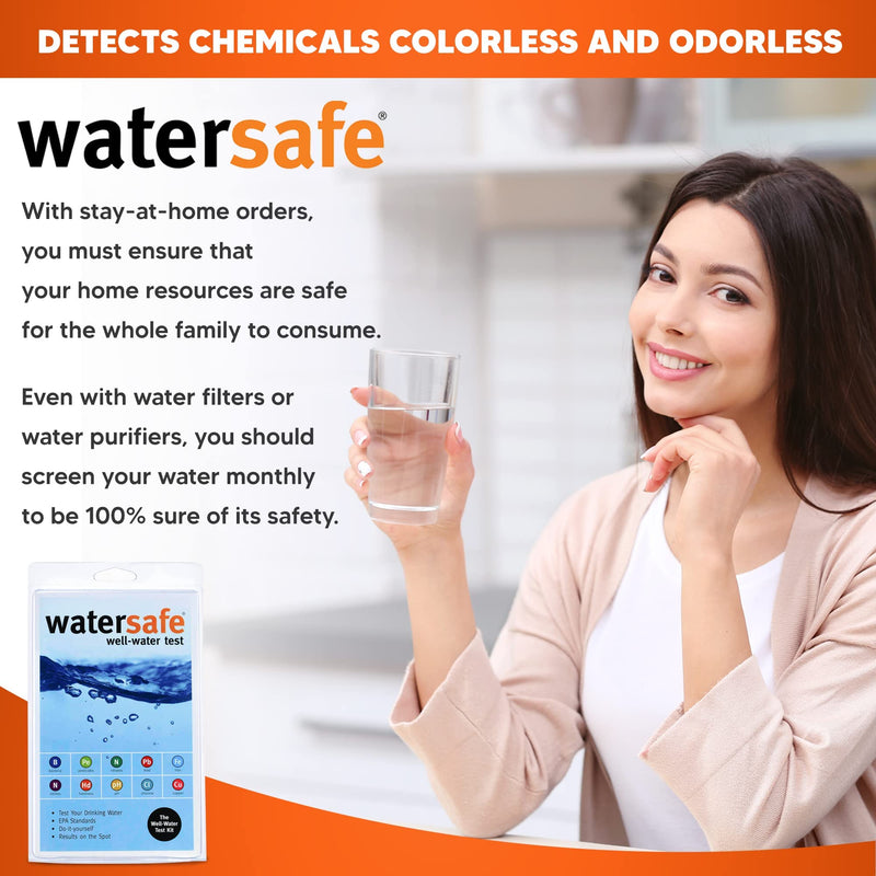 Silver Lake Research WS425B Watersafe All-In-One Well Water Test Kit - PawsPlanet Australia