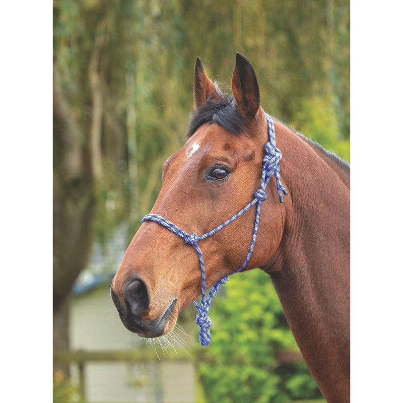 Shires Rope Control Headcollar Purple/Black - PawsPlanet Australia