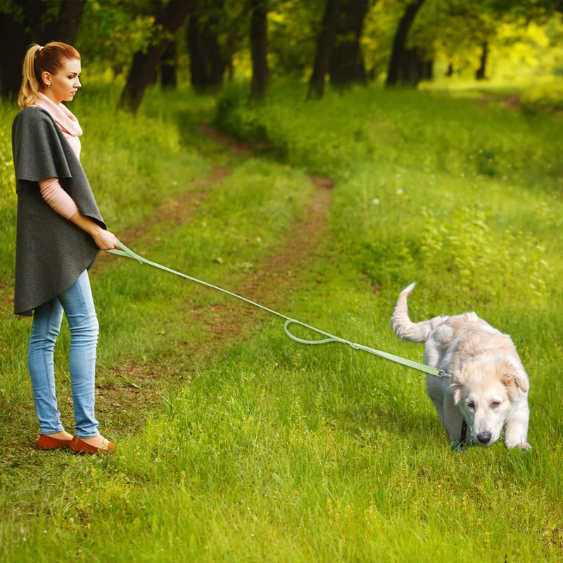 Wisedog Durable Two Handle Dog Leash: Dog Leash Heavy Duty with Dual Soft Padded Handles, Adjustable Length as Short Leash for Medium Large Dogs (Sage Green, M|4.2 ft-5 ft) Sage Green - PawsPlanet Australia