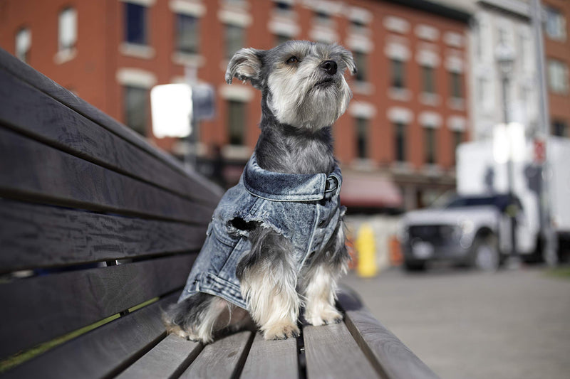 [Australia] - Canada Pooch | Downtown Denim Dog Vest 14 Blue 
