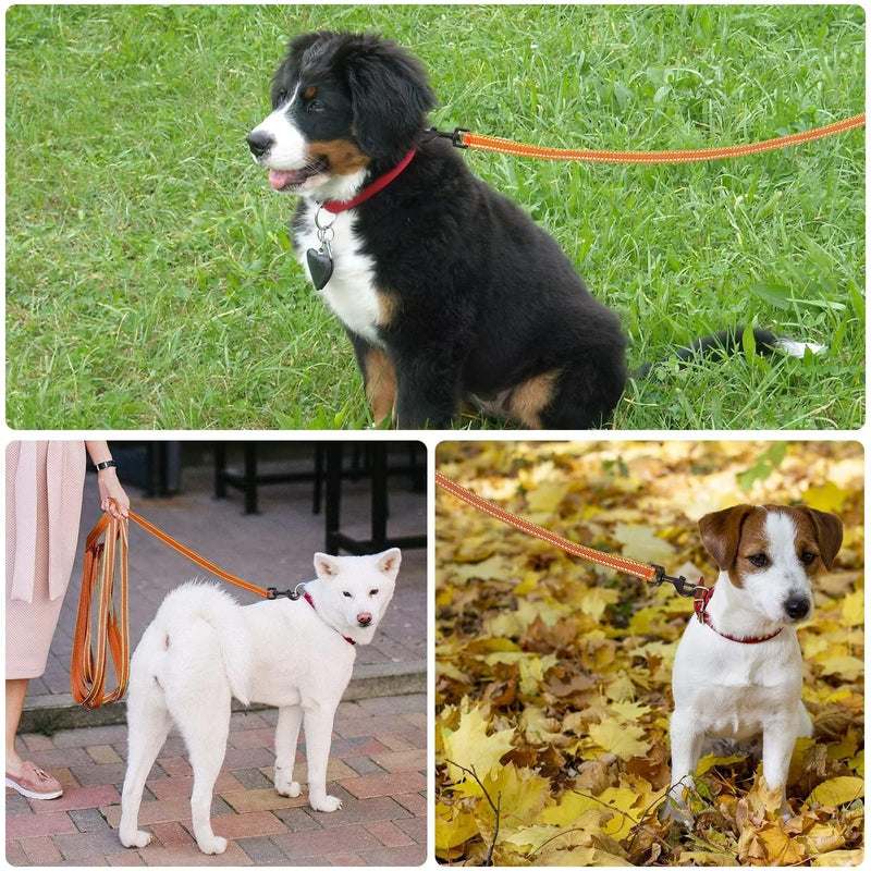 COMSLE drag leash for dogs, 3 m / 5 m / 10 m / 15 m / 20 m, robust long dog leash, reflective training leash with padded handle and hand strap, training leash for small to large dogs - PawsPlanet Australia