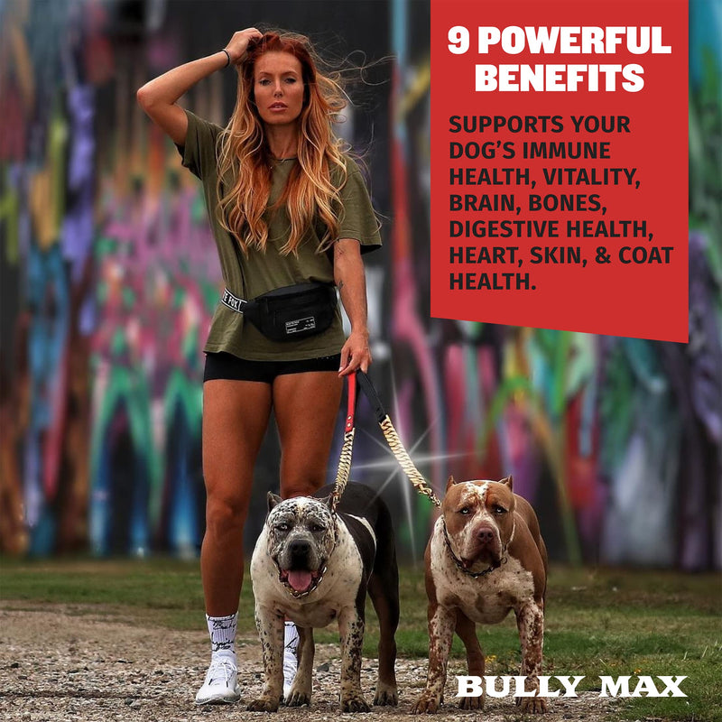 Dog Vitamins Total Health Dog Chews by Bully Max | Puppy and Adult Dog Omega 3 Supplement | Health and Immunity Vitality Chews | Performance Series Muscle Builder for All Breeds | 75 Chews per Bag - PawsPlanet Australia
