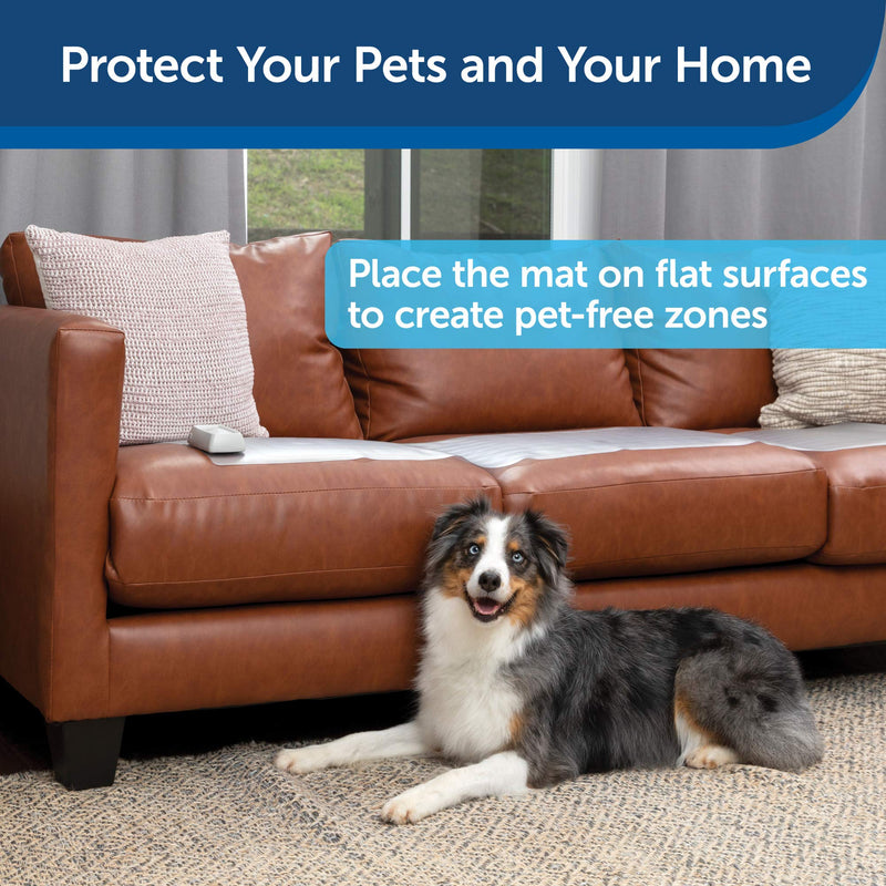 PetSafe ScatMat Indoor Training Mat, 7 Correction Modes, Protect Your Furniture, Training Tool for Dogs and Cats, Sofa Size Mat (60 in X 12 in) - Pet Proof Your Coach - Battery-Operated Mat - PawsPlanet Australia