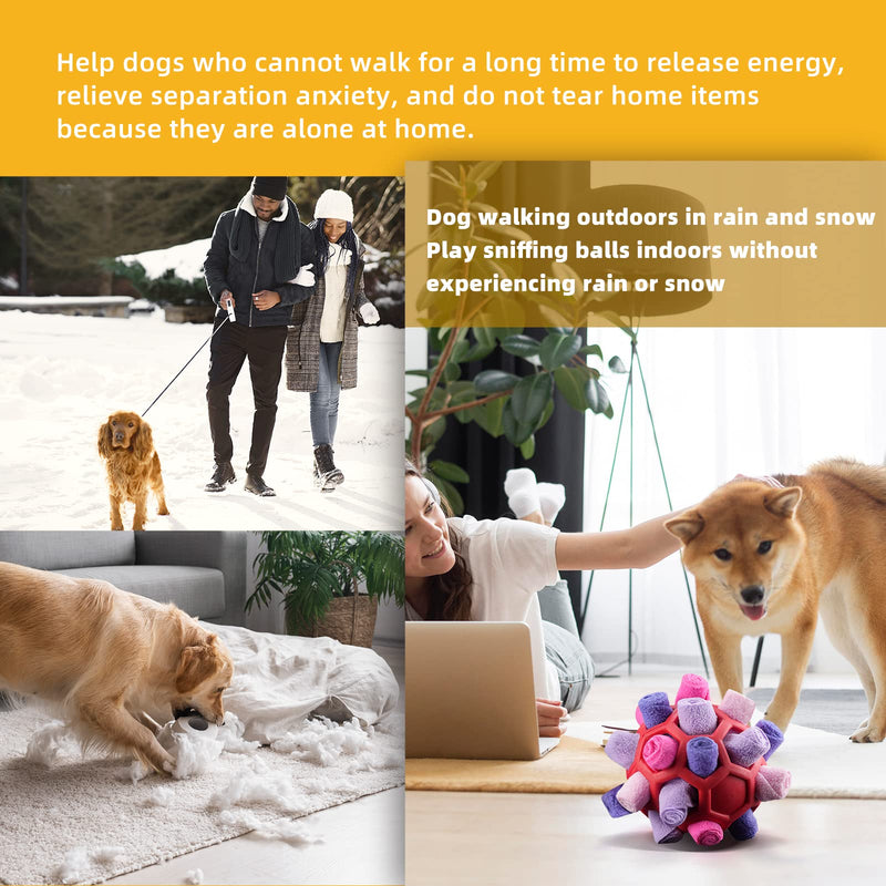 Tesytto Sniffing Ball for Dogs Interactive Dog Toy Encourage Natural Food Ability Slow Food Training Bite Resistant Puppy Play Portable Dog Intelligence Toy (Summer Pink) Summer Pink - PawsPlanet Australia