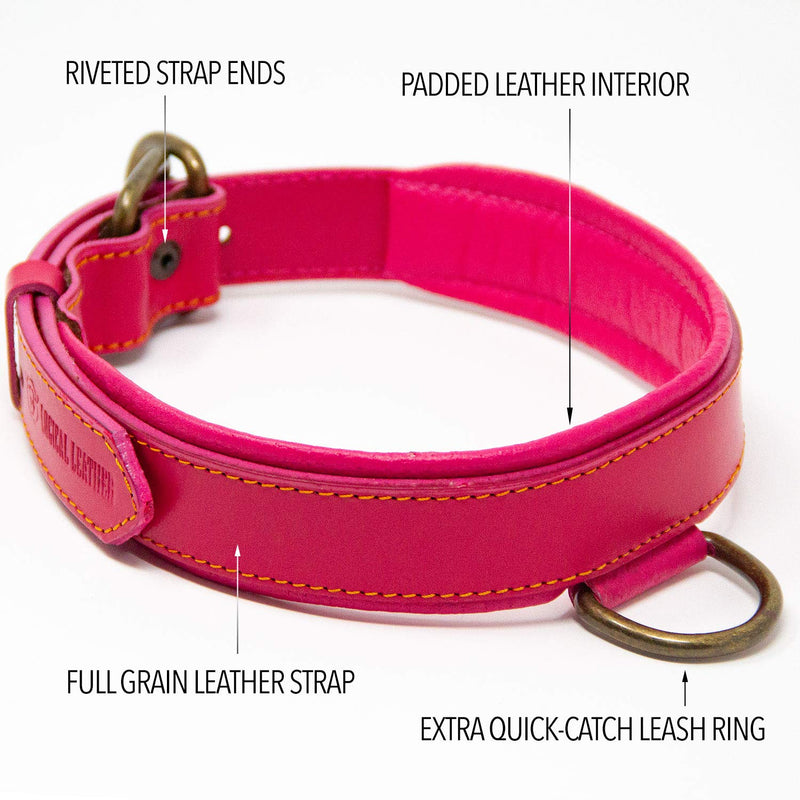 [Australia] - Logical Leather Deluxe Padded Genuine Full Grain Leather Collar Large - Fits 18-22 in. Neck Pink 