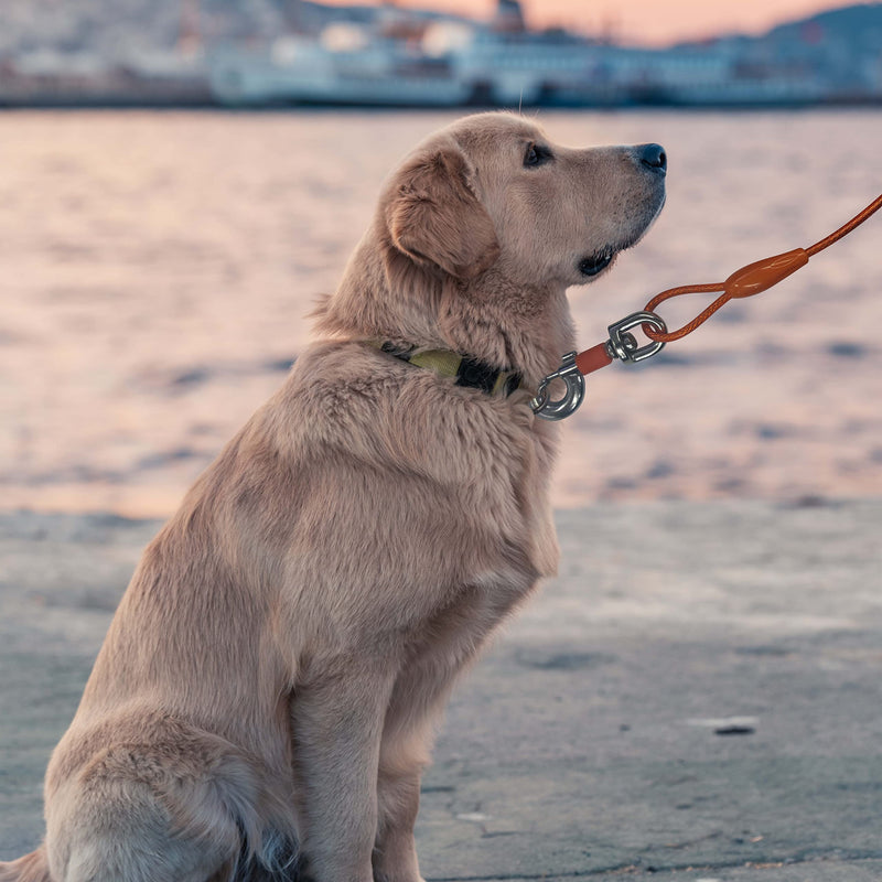 EzyReach Cable Leash for Dogs, Pet Tie Out Cables Leashes Yard Leash for Large Dogs up to 68 kg (150 lbs), 9 m (30 ft) Orange 30 ft (150 lbs) - PawsPlanet Australia