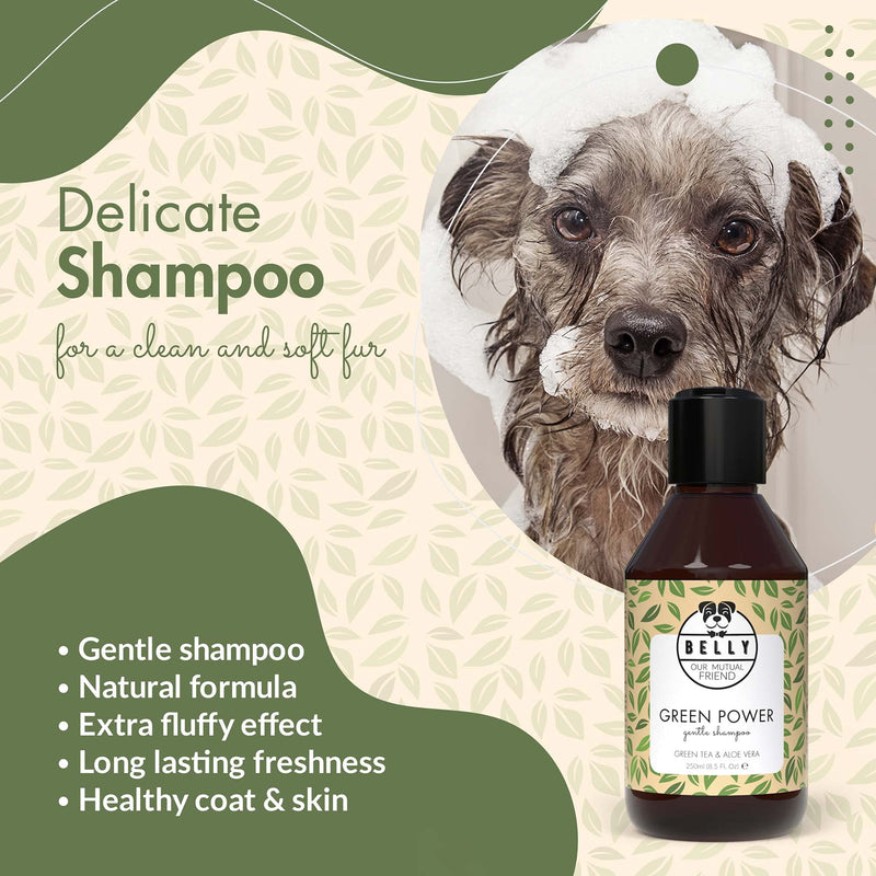 Belly Organic Dog Shampoo & Puppy Shampoo - Natural Dog Shampoo For Smelly Dogs - Sensitive Dog Shampoo For Dry Itchy Skin - Grooming Products For Dogs, Deshedding Shampoo For Dogs Pet Shampoo 250 ml - PawsPlanet Australia