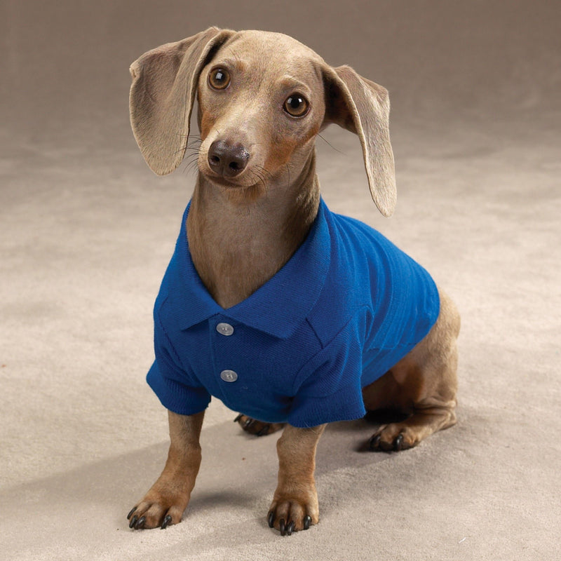 Zack & Zoey Cotton Polo Shirt for Dogs Nautical Blue Medium - PawsPlanet Australia