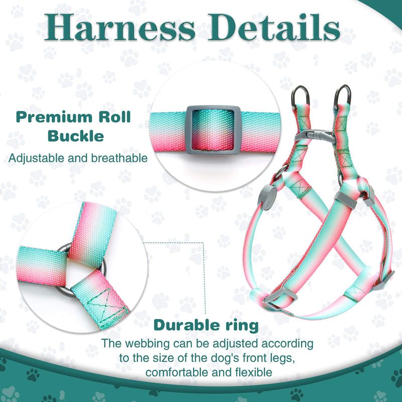 keezeg Dog Harness, Basic Halter Vest Harness, Adjustable Soft Strap Harness-S-GD FR Rainbow-Blue S - PawsPlanet Australia