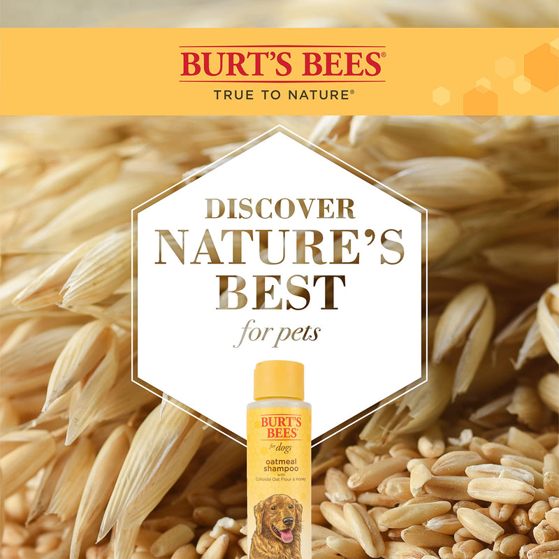 Burts Bees Oatmeal for Dogs with Colloidal Oatmeal and Honey, 473ml 1 Pack of Shampoo (473ml). - PawsPlanet Australia