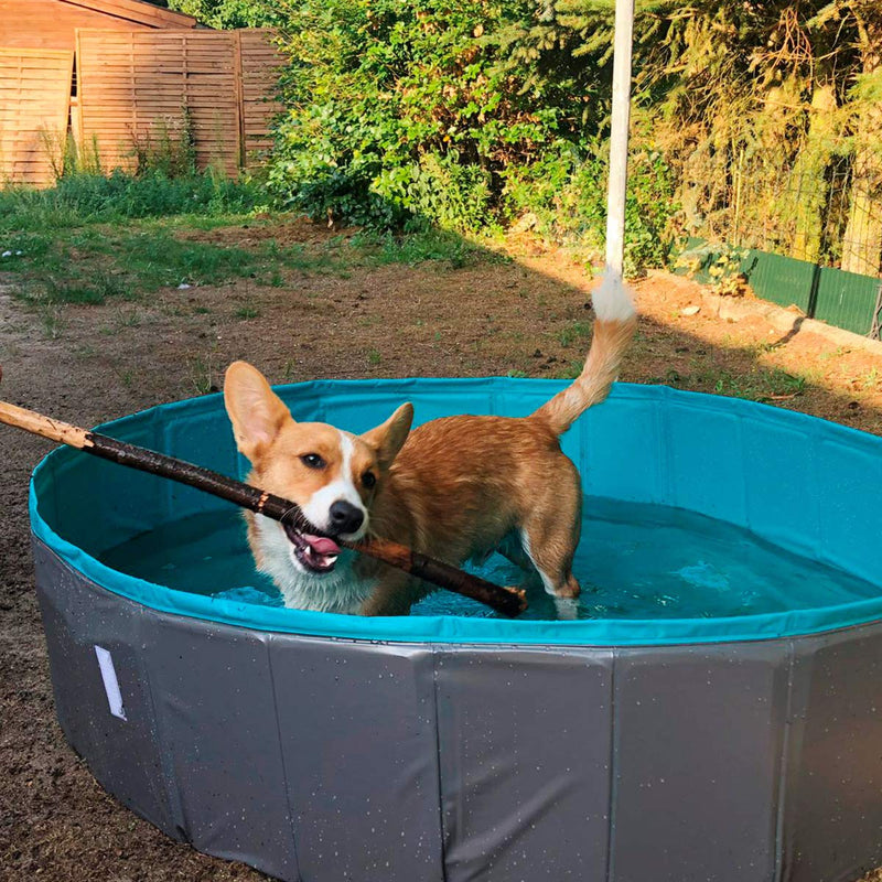 Navaris Dog Paddling Pool - Extra Large Foldable Plastic Bath Tub for Dogs with Sturdy Collapsible Design - Includes Cover - Size XL (160 x 30 cm) - PawsPlanet Australia