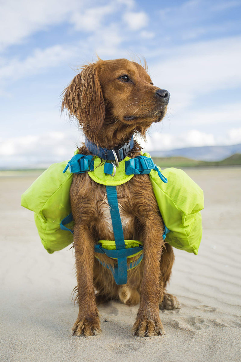 Outward Hound, Lightweight Dog Backpack, Hiking Gear for Dogs Crest Stone Small/Medium Green - PawsPlanet Australia