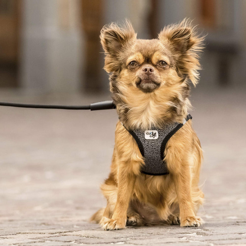 Vest Harness Merino Black S - PawsPlanet Australia