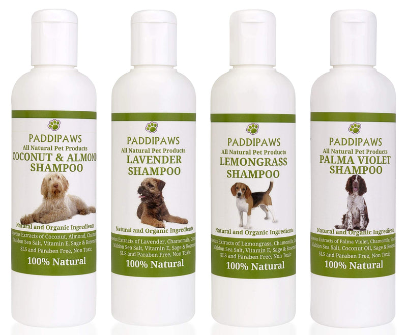 PADDIPAWS 100% Natural Baby Powder Dog Shampoo and Conditioner - Free from Parabens and SLS - Salon Style Fragrance of Baby Powder Shampoo - Eco Friendly Formula - 500ml - PawsPlanet Australia