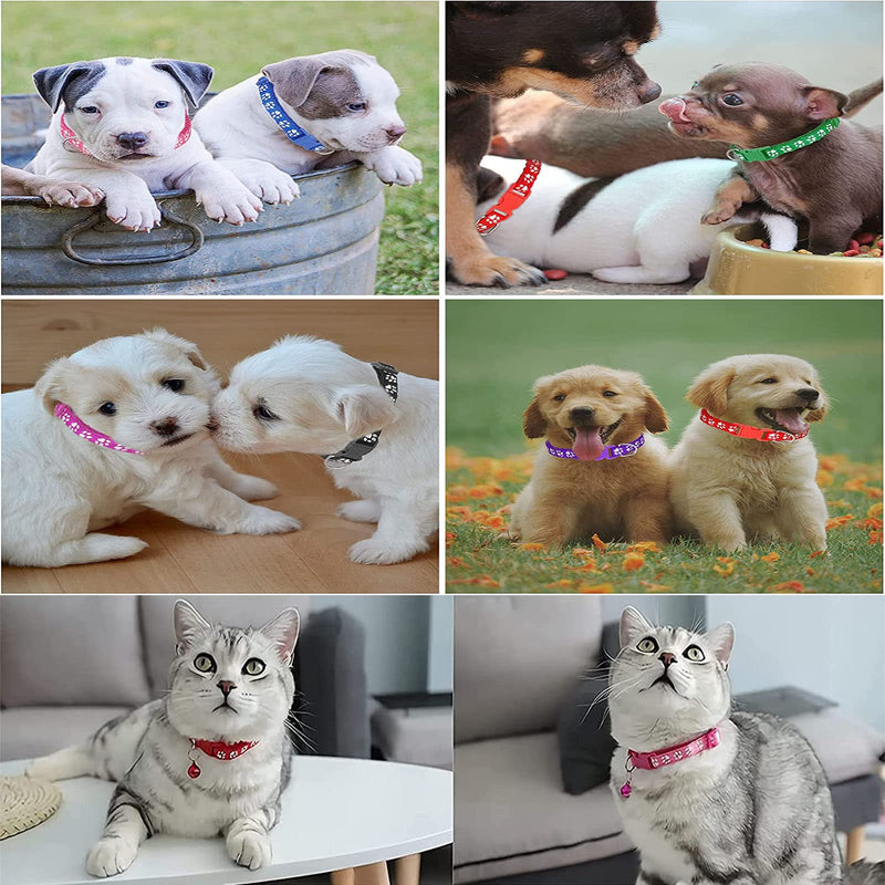 Pack of 12 cat collars, safety clasp, cat collars with bells, reflective cat collars, colorful cat collars, adjustable cat collar, for cats and puppies, rabbits - PawsPlanet Australia