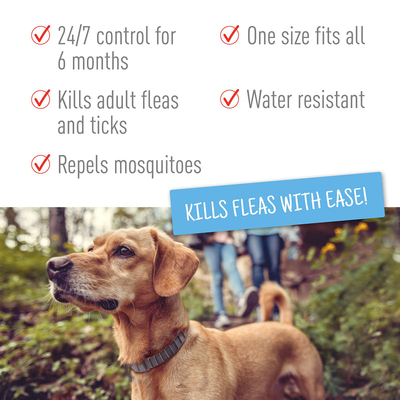 Adams Flea & Tick Collar for Dogs & Puppies, Repels Mosquitos, Adjustable - One Size Fits All Collars Only - PawsPlanet Australia