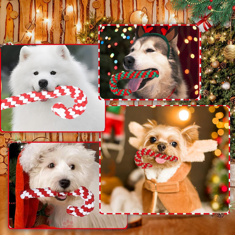 Christmas dog toy, Christmas candy cane rope, dog toy candy cane, dog toy rope, dog chew toy, Christmas gift dog toy for small dogs - PawsPlanet Australia