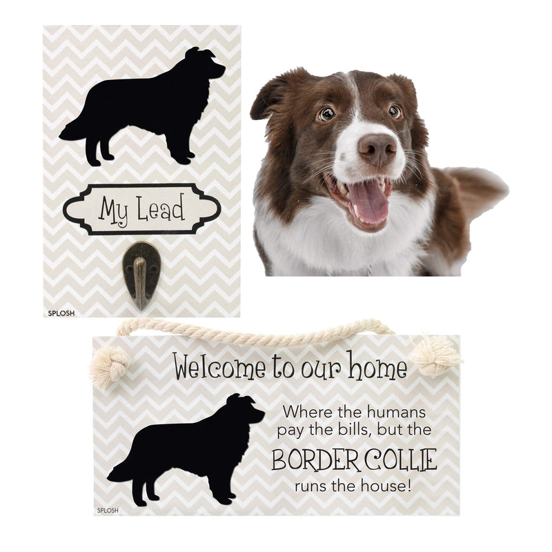 PRECIOUS PETS DOG PLAQUE AND DOG LEAD HOOK PACK, BORDER COLLIE, FUNNY SIGNS, DOG MUM GIFTS, DOG ACCESSORIES, HOUSE STUFF. - PawsPlanet Australia