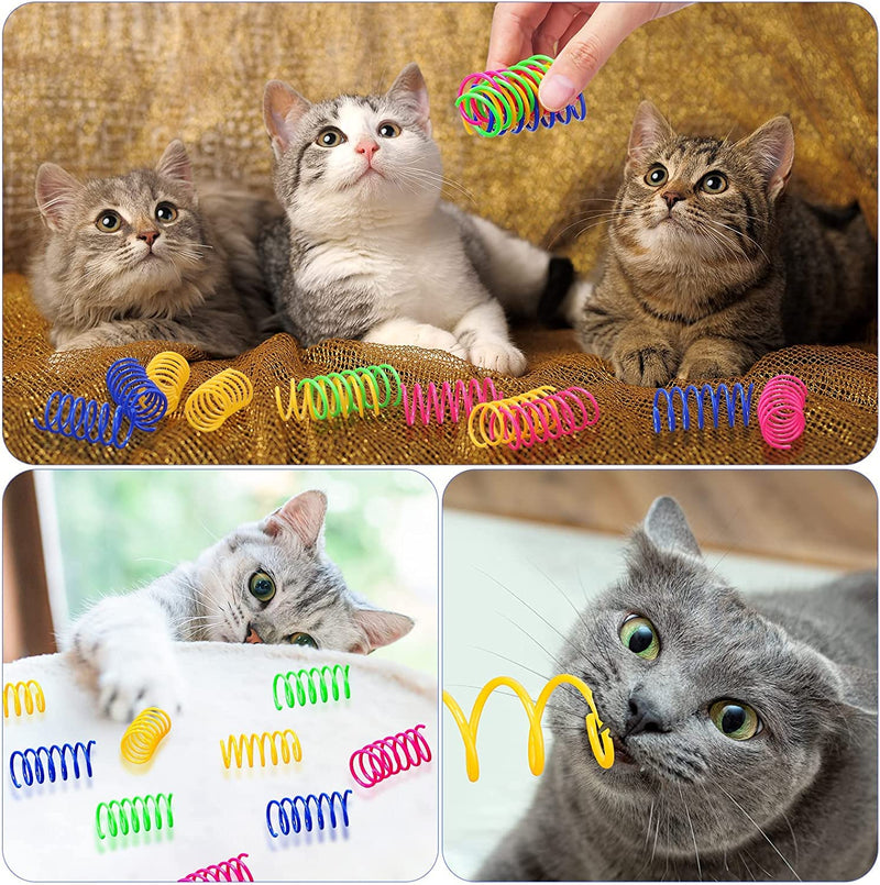 Diyxisk 40 pieces cat toy spiral cat toy, toy spiral, 4 colors interactive toy cat, for hitting, biting and hunting, active and healthy toys for cats - PawsPlanet Australia