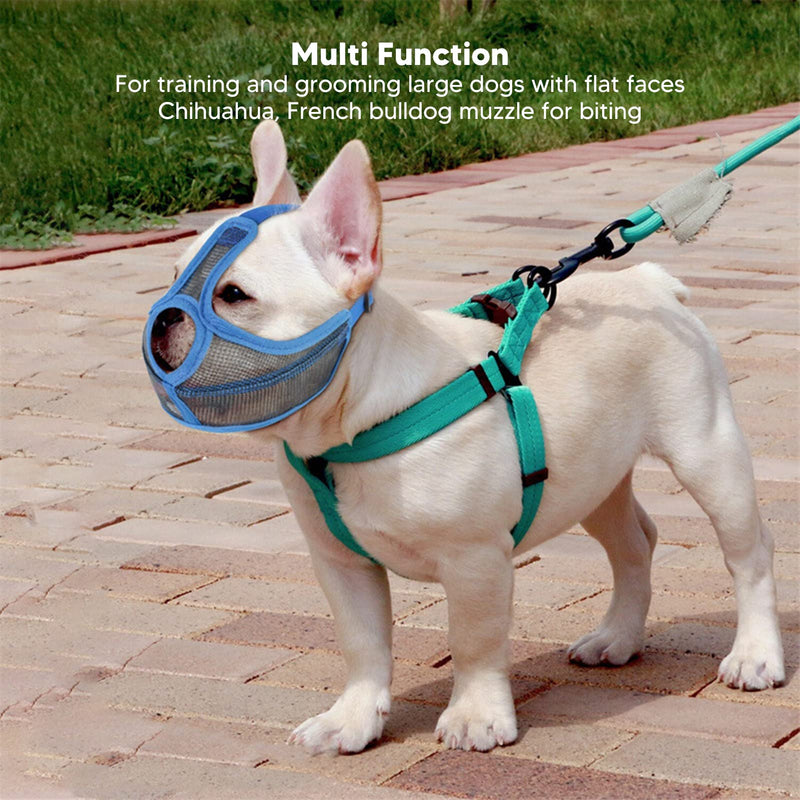 Dog Muzzle for Short Snout, Breathable Mesh Muzzle for Bulldogs, Prevent Biting, Barking, Chewing, Dog Muzzle for Bulldog-Chihuahua L Blue - PawsPlanet Australia