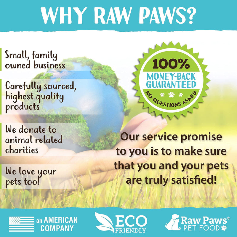 Raw Paws Pet Hand-Held Rubber Tipped Pin Brush for Dogs & Cats - Grooming Brush for Dogs Shedding - Dog Brushes for Grooming Large Dogs & Small Dogs - Bath Brush for Dogs with Short Hair & Long Hair - PawsPlanet Australia