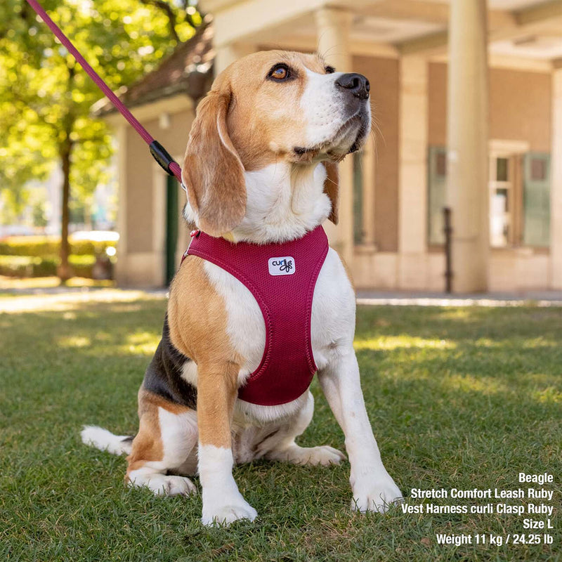 Curli Vest Harness Clasp Air-Mesh, PN2805, Beige (Light Tan), 2XS Beige (Light Tan) Striped - PawsPlanet Australia