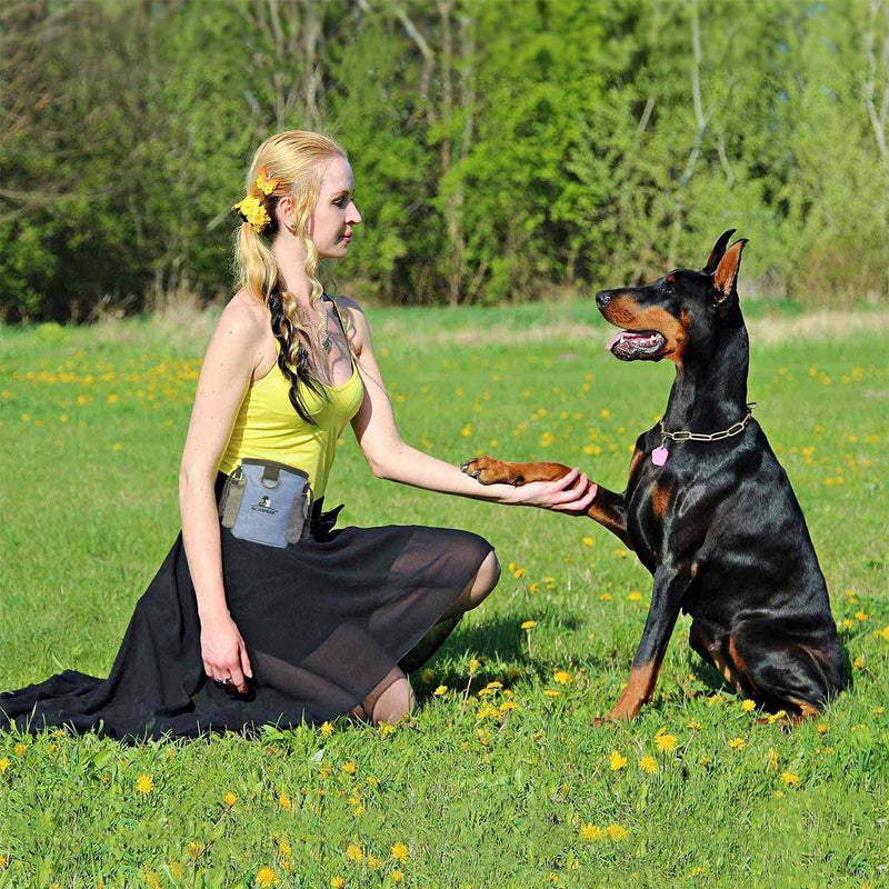 [Australia] - Grenric Dog Treat Training Bag for Small to Large Dogs,–Easily Portable Carries Dog Toys,Built Best Hiking Toys Pack Dispenser Waist Belt, Shoulder Strap, Poop Bag Dispense blue 