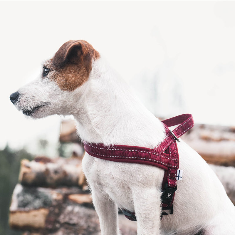 [Australia] - Hurtta Casual Padded Dog Harness Lingon 32-35" 