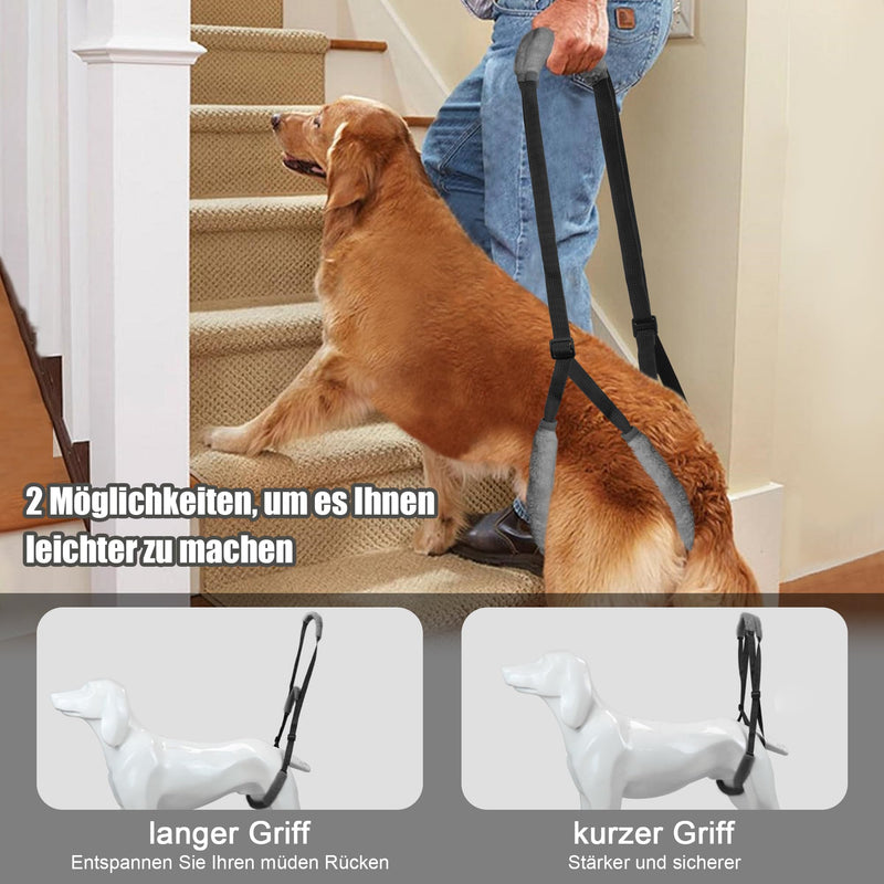 Lollanda walking aid for dogs at the back, carrier for dogs, dog harness for the hind legs, walking aid for dogs to support sick dogs, older dogs, promotes the mobility of the dog (black) black - PawsPlanet Australia