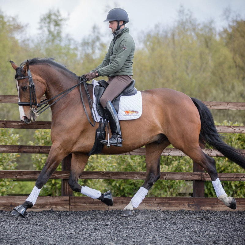 equilibrium Stretch & Flex Flatwork Wraps White XS - PawsPlanet Australia