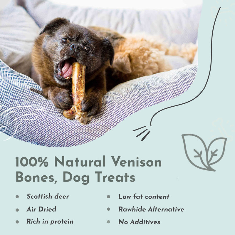 Purplebone Venison Deer Marrow Dog Treats, Pack of 3, Dog Bone Treats for Large or Small Breeds | 100% Natural & Longer Lasting Sticks | Free From Hormones, Additives Or Antibiotics - PawsPlanet Australia