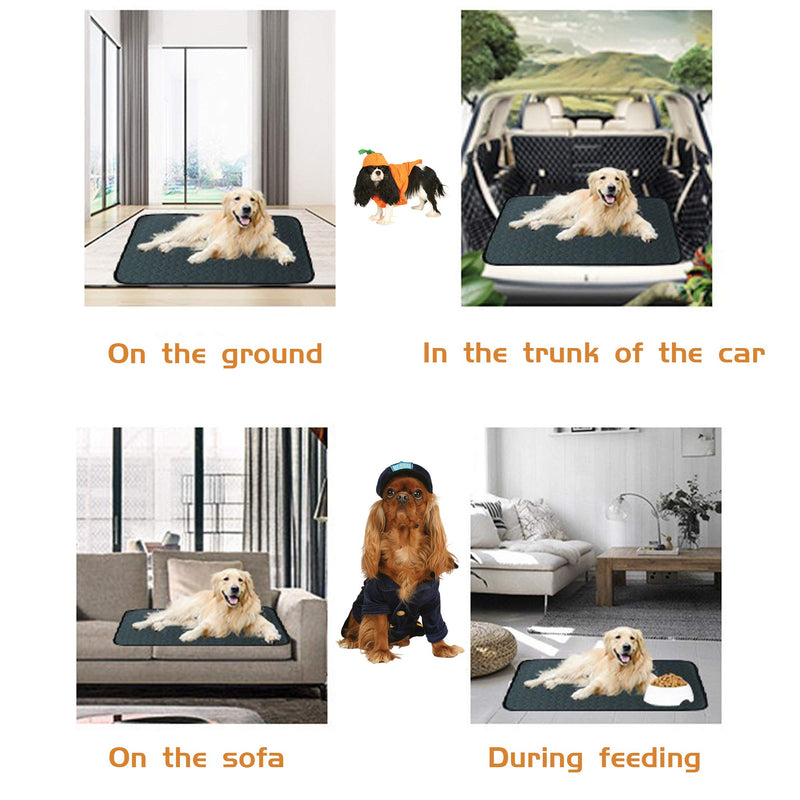 [Australia] - MICROCOSMOS Dog Training mat, Washable and Reusable Pee Pad, Super Absorbing Dog Whelping Pad, Leak Proof and Non Slip Puppy Training pad. Perfect at Home or in The Car. M-24" x 18" Blue 