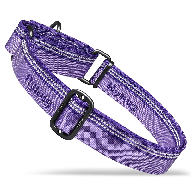 Hyhug 2021 Strong 3M Reflective Strip Double Color Nylon Jacquard Weave Webbing Martingale Dog Collar, Comfy Adjustable Safety, Durable Soft Breathable, Safe Night Walk. (Medium, Ultra Violet) 25mm Medium (14.5-21in) Ultra Violet Combination - PawsPlanet Australia