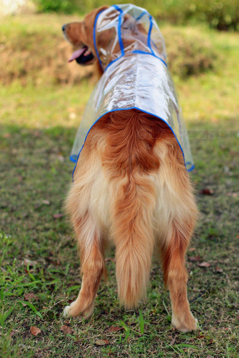 [Australia] - Glanzzeit Dog See-Through Raincoat Cool Rain Jackets Adjustable Poncho for Medium Large Dogs 2XL to 6XL Blue 