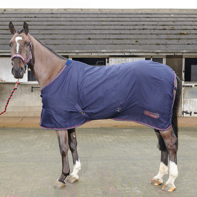 John Whitaker Summer Stable Travel Horse Sheet Lightweight Cooler Rastrick No Fill 0g Rug 1 Count (Pack of 1) Navy and Red - PawsPlanet Australia