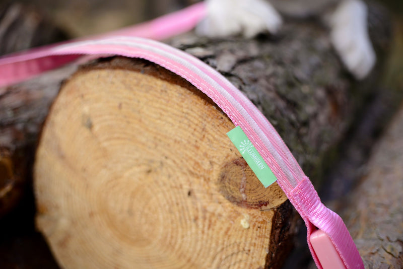 Illumiseen LED Dog Leash - USB Rechargeable - Available in 6 Colors & 2 Sizes - Makes Your Dog Visible, Safe & Seen 4 Feet Cotton Candy Pink - PawsPlanet Australia