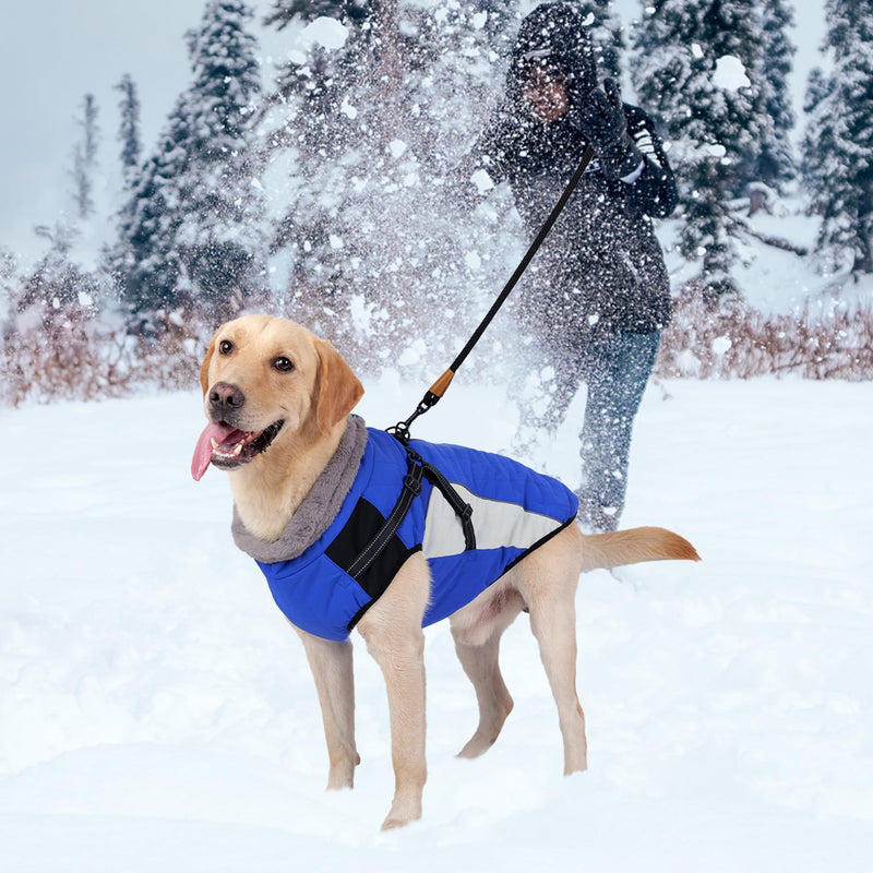 HEYWEAN Waterproof Dog Coat with Harness Reflective Winter Warm Dog Jacket for Small Medium Large Dogs Dog Sweater Fleece Dog Winter Coat Cold Weather Winter Jacket Warm Coat for Dog M Blue - PawsPlanet Australia